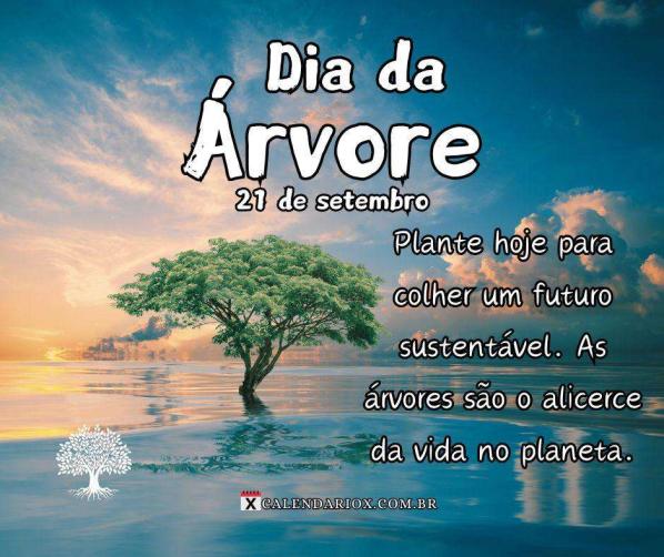 Dia da Árvore: Por que Preservar Nossas Florestas é Essencial para o Futuro - dia 21/9